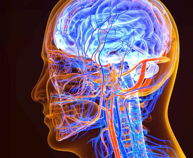 Brain-derived Tau (BD-Tau) and BD-p217-Tau